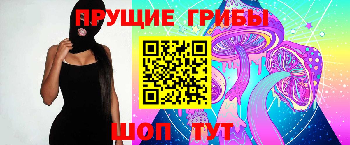 Галлюциногенные грибы Psilocybe Азов